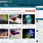 Aquarium Space Community 387